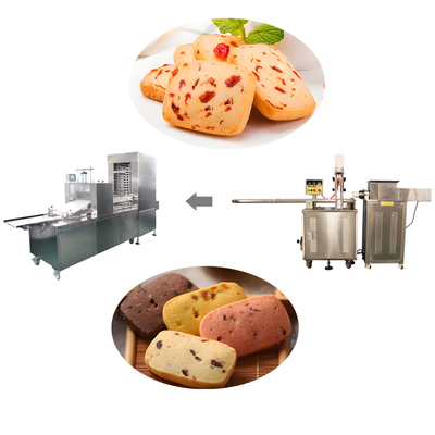 Automatique 3.5KW Puissance 10-30g Poids Sortie Machine à faire des biscuits surgelés