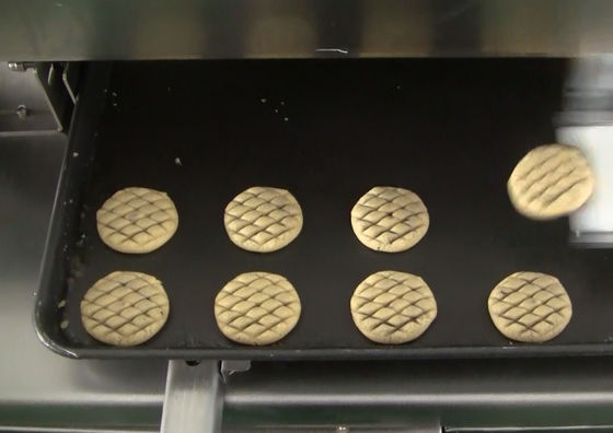 Machine de peinture d'oeufs de HONGXIN 1000w pour des gâteaux d'ananas